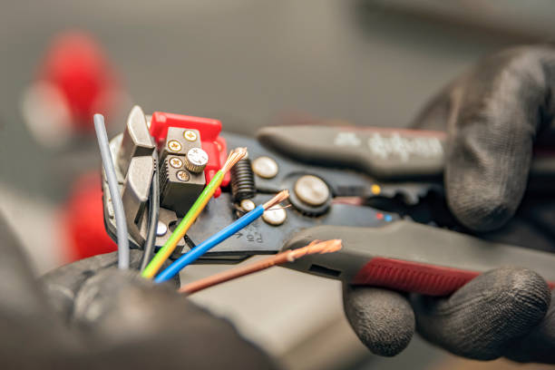 Best Affordable Electrician  in Hornsby Bend, TX