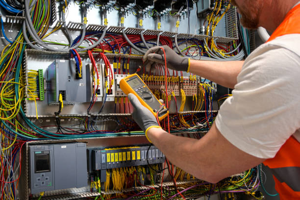 Best Electrical System Inspection  in Hornsby Bend, TX