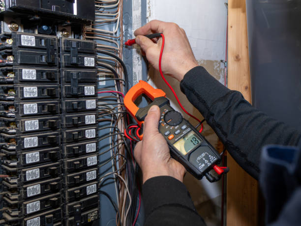 Best Licensed Electrician  in Hornsby Bend, TX